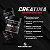 Creatina Monohidratada 100% Pura NatusNutry 300g - Imagem 3