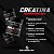 COMBO PERFORMANCE TOTAL – FORÇA, ENERGIA E RECUPERAÇÃO Creatina + Thermo UP + ZMA NatusNutry - Imagem 2