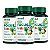 Kit 3x Suplemento Infantil Focus Gummy Kids Ekobé 30 Gomas Foco Concentração Memória Visão Sem Açúcar - Imagem 1