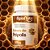 Extrato Propolis 500Mg 60Caps - ApisNutri - Imagem 4