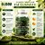 Coenzima Q10 Matcha Gummies 60Un - Guday - Imagem 3