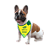 Bandana Pet - Torcida MRV&CO - Imagem 1