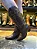 BOTA VIMAR AMARULA 10238 - Imagem 1