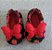 Pantufinha - Borboleta - RN a 1 Ano - Imagem 3