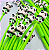 Caneta Flexível Dançante 0.5 Panda- Preto - Imagem 2