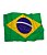 Bandeira do Brasil - Imagem 1