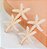 Hair clip LUANA estrela do mar (par) - Imagem 2