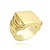 VL 1578 - Anel em Ouro Amarelo 18K - Imagem 1