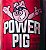 Limpador Multi-uso Power Pig Pro 1l Dub Boyz - Imagem 4