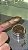 Pigmento Amy Winehouse - Useglow - Imagem 1