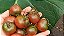 Tomate Black Zebra Cherry - 30 sementes - Imagem 4