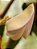 Vagem de Metro Vermelha - Vigna unguiculata subsp. sesquipedalis - 15 sementes - Imagem 2