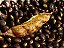 Feijão Guandu Preto - 20 sementes - Imagem 1
