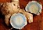 Cúrcuma Zedoária ou Cúrcuma Azul - rizomas - Imagem 1