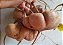 Feijão Batata -  Pachyrhizus tuberosus - Imagem 1