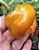 Pimenta Habanero Amarela (Capsicum chinense) - Imagem 2