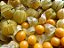 Fisalis (Physalis peruviana)  - Mudas - Imagem 1