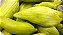 Chuchu-de-vento – Cyclanthera pedata - sementes - Imagem 1