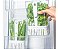 Organizador Clear Fresh para Temperos 2,3L - Cristal (ref.OF900NT) - Imagem 3