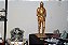 GUERREIRO DE OURO - Imagem 1