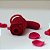 VIBRADOR ROSE PRO 2.0 - SUGA E FAZ O MOVIMENTO DE "VEM CÁ" - Imagem 2
