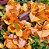 Primavera Bougainvillea - várias cores - Imagem 9