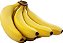 Muda de Banana Nanica ou D'Água Clonada Produzir - Imagem 1