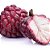 Muda de Pinha Vermelha Super Rara Fruta Sagrada P/ Produzir - Imagem 1