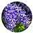 Muda de Flor de São Miguel Azul Trepadeira - Imagem 1
