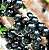 Kit 3 Mudas de Jabuticaba; 1 Sabará, 1 Híbrida e 1 Branca - Imagem 2