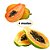 Kit 4 Mudas de Mamão Com 2 Papaya e 2 Formosa Legítimos - Imagem 1