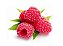 Kit Mudas 2 de Framboesa Frutas Vermelha Produzindo - Imagem 3