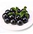 Muda de Jabuticaba Híbrida Já Produzindo com 0,80cm Próximo da Produzir - Imagem 1