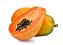 Muda De Mamão Papaya / Papaia - Imagem 1