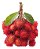 Muda De Rambutan Rambutão Lichia Peluda Exótica Para Produzir - Imagem 4