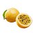 Muda De Maracujá Azedo Frutífera Excelente Para Produzir - Imagem 1