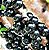 Muda De Jabuticaba Sabará De 60-70cm Pronta Para Produzir - Imagem 12