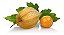 Muda De Physalis Exótica Para Produzir - Imagem 1