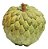 Muda De Pinha Ou Fruta do Conde Para Produzir - Imagem 4