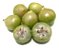 Muda De Jabuticaba Branca Exótica E Muito Rara Para Produzir - Imagem 15