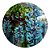 Muda De Jade Azul Exótica E Rara Para Florir - Imagem 1