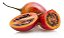 Muda De Tomate Árvore Tamarillo Tomate Japônes Raro Exótico - Imagem 1