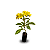 Muda de Alamanda Amarela - Imagem 1
