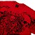 CAMISETA PKS AFLITAS VERMELHA - Imagem 3
