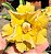 Rosa do Deserto - YELLOW CARD - Imagem 1
