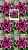 Rosa do Deserto - BAIANINHA - Imagem 4