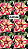 Rosa do Deserto - CLOTILDE - Imagem 5