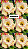 Rosa do Deserto - CONCETA - Imagem 2