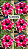 Rosa do Deserto - TIA NEIDINHA - Imagem 3