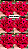 Rosa do Deserto - MISS RDMN - Imagem 3